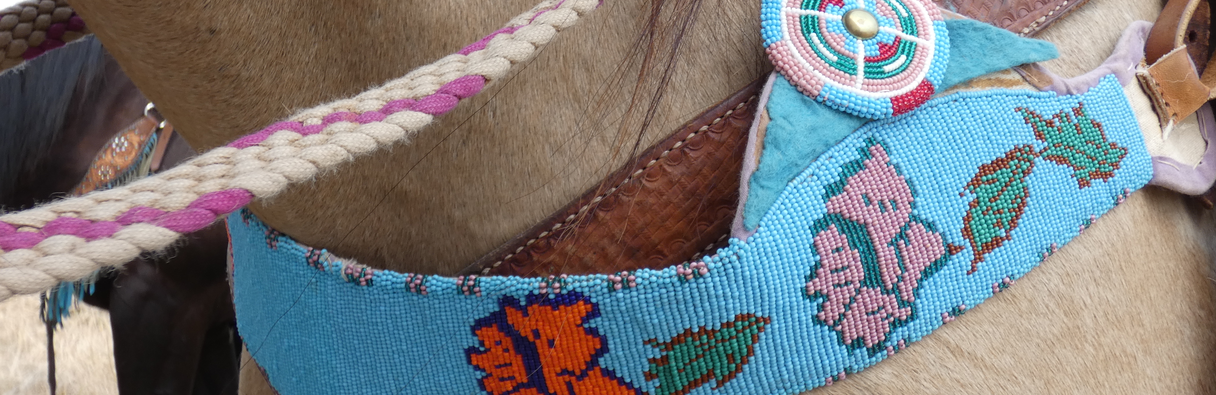 Evoking the Horse: Indigenous Artists of the North American Plains
